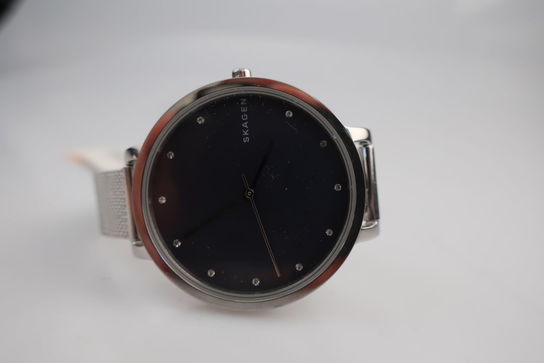 Dameur SKAGEN SKW2582