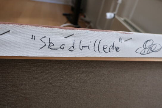 Print "Skodbillede"