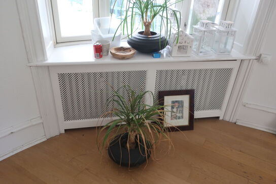 Diverse vaser, planter, kunst m.m.