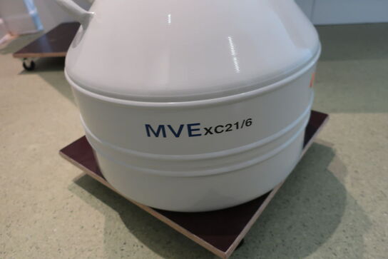 Kryogenfryser MVE XC21/6