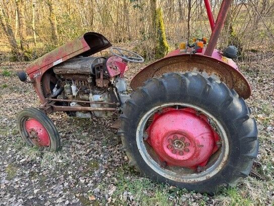 Traktor MASSEY FERGUSON samt vogn