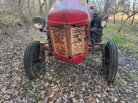 Traktor MASSEY FERGUSON samt vogn