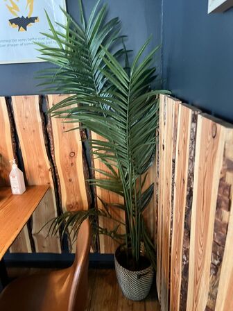 Alle kunstige planter i butikken