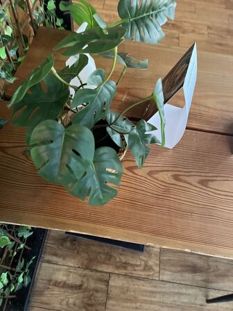 Alle kunstige planter i butikken