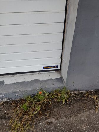 Port (selvnedtag)