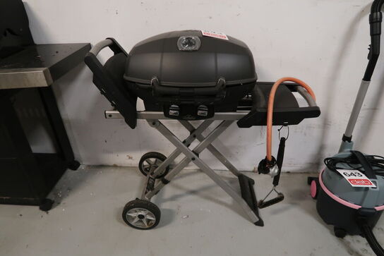 Gasgrill, Napoleon