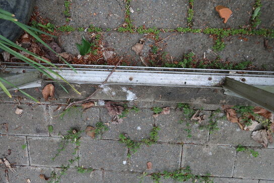 Drivhus