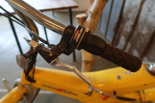 Elcykel, Mini E-bike