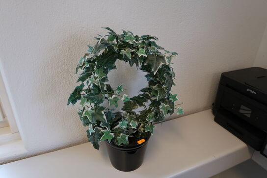 3 stk. planter i krukker