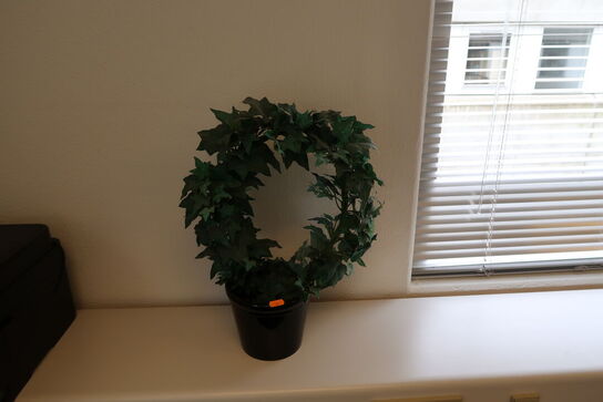 3 stk. planter i krukker