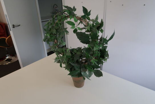 3 stk. planter i krukker