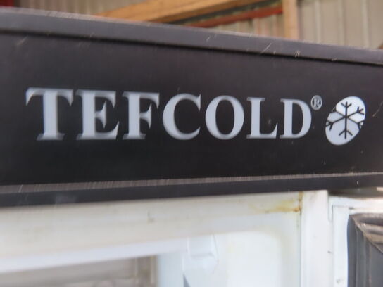 Fryser TEFCOLD UF400