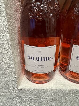 6 fl. Salento IGT Negroamaro Rosé "Calafuria" 2022