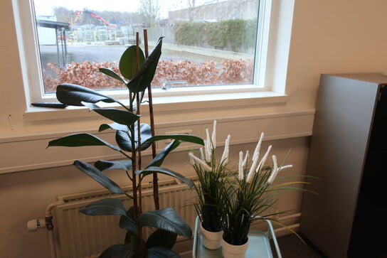 Plante i krukke, sidebord med 2 stk. planter og papirkurv