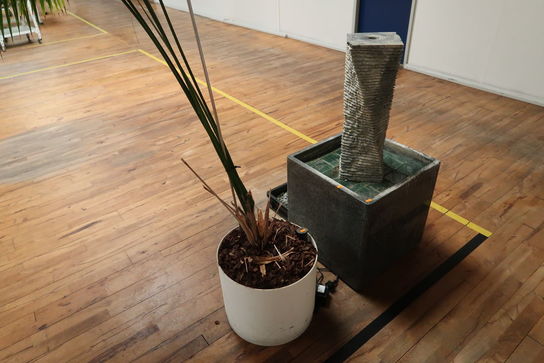 Vandskulptur og plante