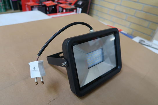 Eline Floodlight