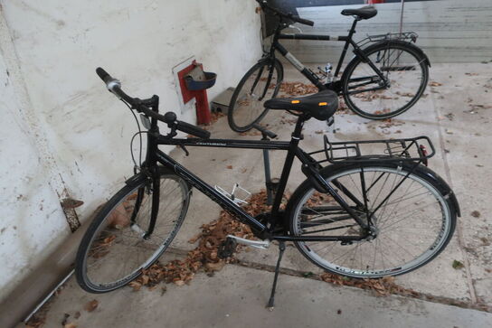 Herrecykel RALEIGH