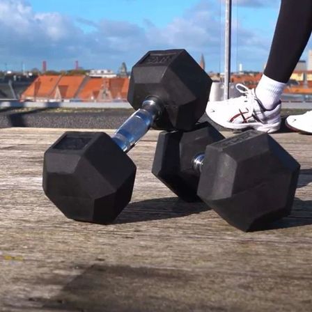 2 stk. Håndvægt Hexagon (22,5 kg)