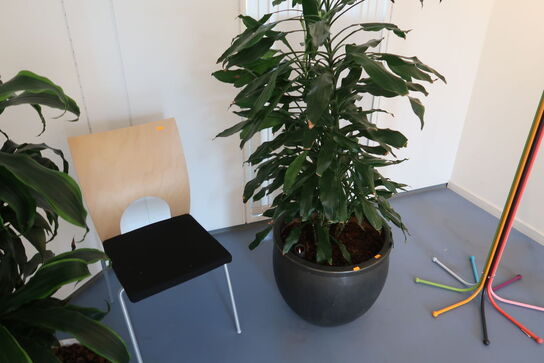 3 stk. planter, stol og whiteboard