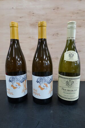 3 fl. Hvidvin LOUIS JADOT Bourgogne Chardonnay samt PIC POUL 2020, 75cl.