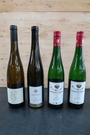 4 fl. Hvidvin DOMDECHANT WERNER Riesling 2022 m.fl.