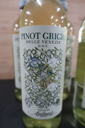 5 fl. Hvidvin VILLE DI ANTANÉ Pinot Grigio Delle Venezie D.O.C. 2023, 75cl.