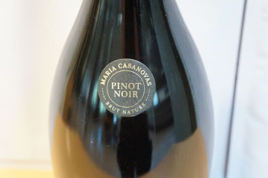 1 fl.  PINOT NOIR MARIA CASANOVAS MAGNUM