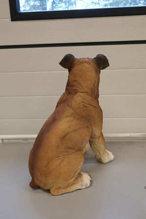 Siddende amerikansk bulldog hvalp H40 cm. 