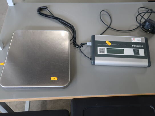 Elektronism vægt