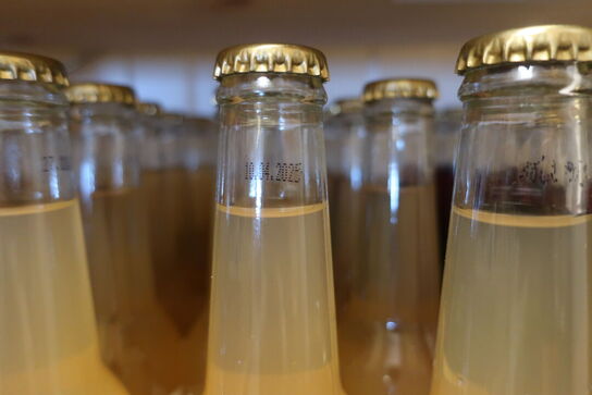 Div. Saft æble, solbær og møn vand