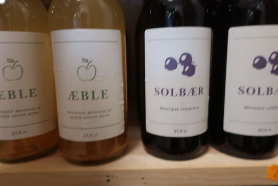 Div. Saft æble, solbær og møn vand