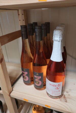 9 fl. Rosévin CASTELL DE SANT PAU, LEITZ Eins Zwei Dry
