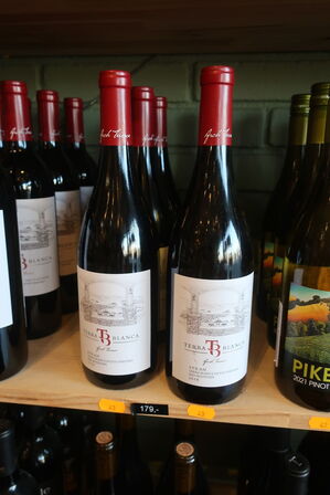 6 fl. Rødvin TERRA BLANCA Syrah 2018