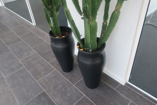 2 stk. planter i krukke