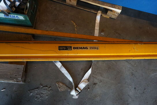 Svingkran 250 kg DEMAG