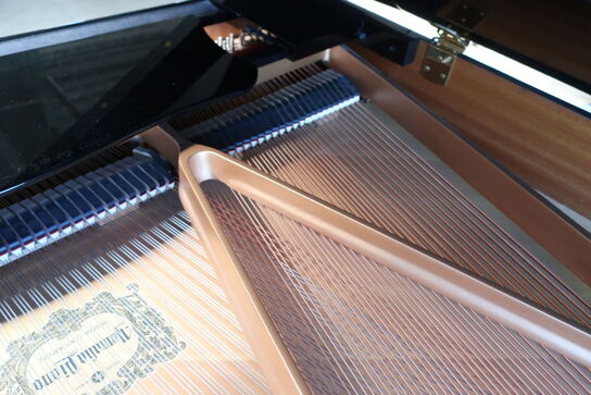 Disklavier YAMAHA GP DC2A