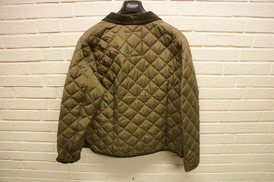 Jakke BERKELEY  STR. 2XL Oliven 