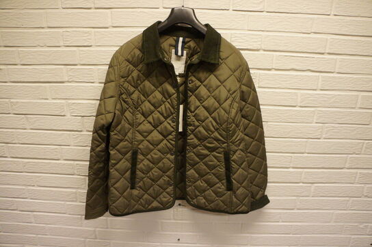 Jakke BERKELEY  STR. 2XL Oliven 