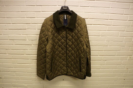Jakke BERKELEY  STR. 2XL Oliven 