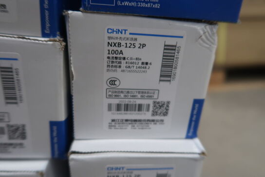 76 automatsikringer CHINT NXB-125 2P C 100A