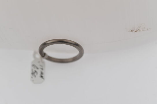 Ring i titanium