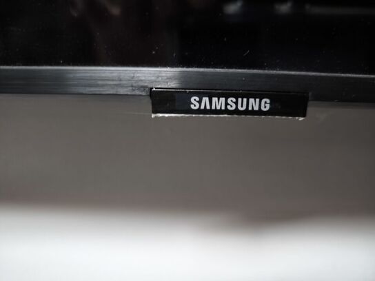 Fjernsyn SAMSUNG 