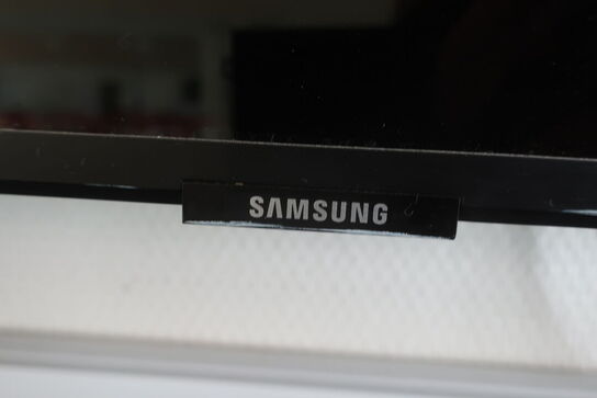 Fjernsyn SAMSUNG 