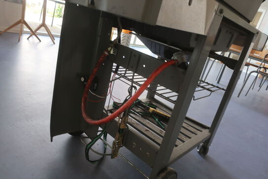 Gasgrill WEBER Genesis II E310