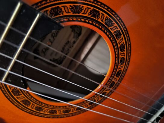 Akustisk guitar PEARL RIVER 
