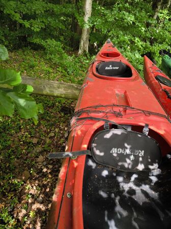 Kayak