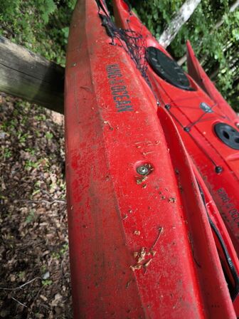 Kayak