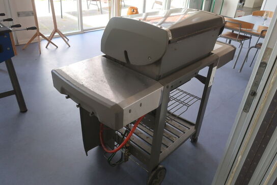 Gasgrill WEBER Genesis II E310