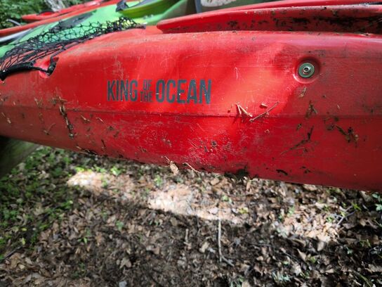 Kayak