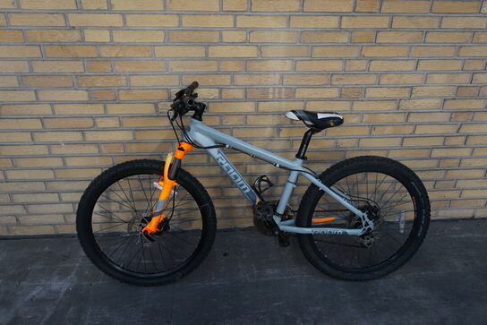 Mountainbike RAAM 